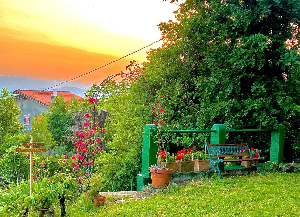La Ginestra B&B Fosdinovo Ngoại thất bức ảnh