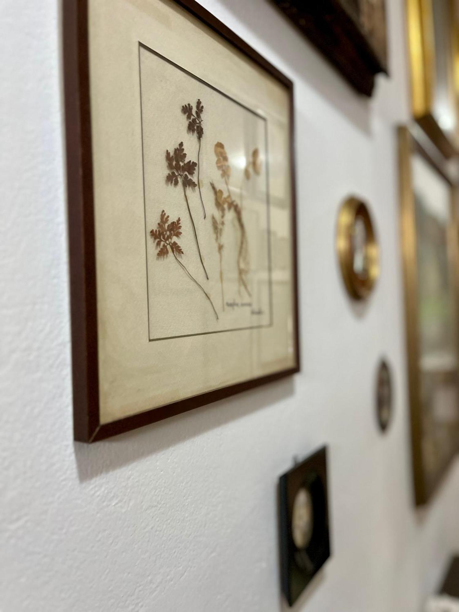 La Ginestra B&B Fosdinovo Ngoại thất bức ảnh
